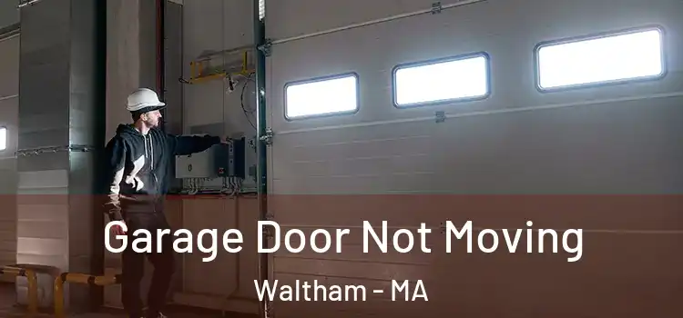  Garage Door Not Moving Waltham - MA